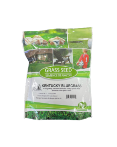 Coated Kentucky Bluegrass 1kg