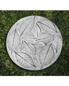 Hydrangea Leaf Stepper