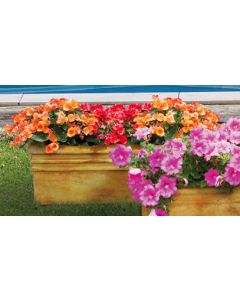 Large Planter Box