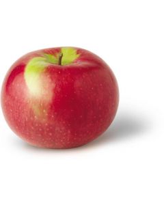 McIntosh Apple Tree