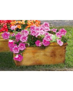 Medium Planter Box