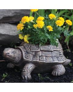 Patio Turtle Planter