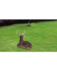 Reclining Buck