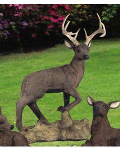 Standing Buck