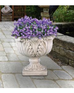 Ucanthus Planter