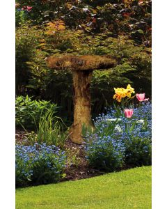 Woodland Birdbath