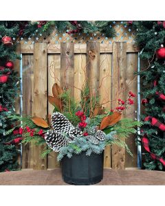 16.5" Magnolia Porch Pot