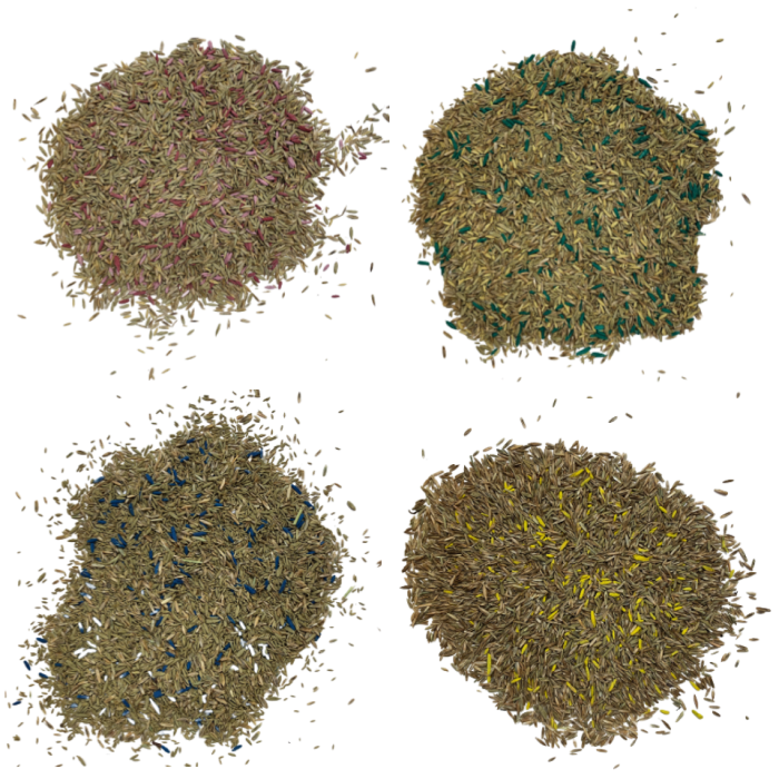 Bulk Grass Seed (Bulk 1KG)