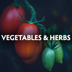 Vegetables & Herbs